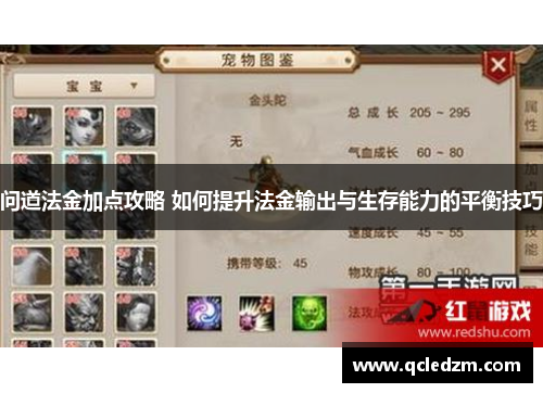 问道法金加点攻略 如何提升法金输出与生存能力的平衡技巧